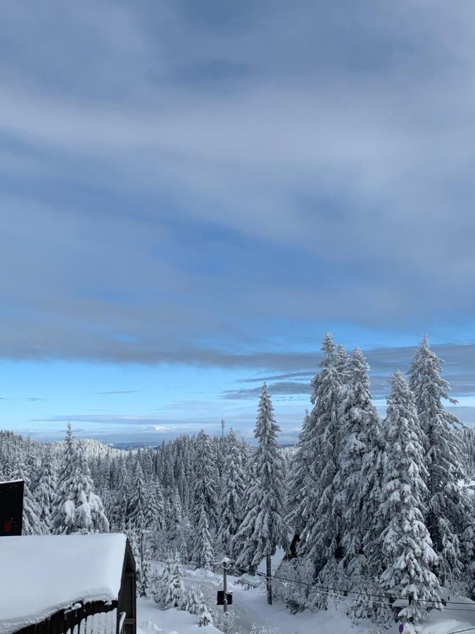 Forresto Apartmani Jahorina Kültér fotó